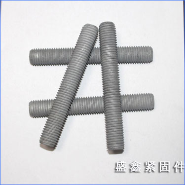 �ȶ�пȫ��˿