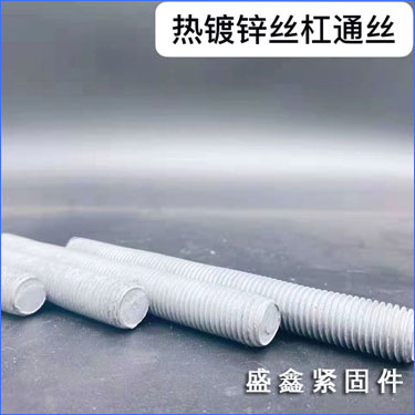 �ȶ�пȫ��˿