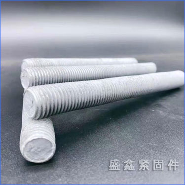 �ȶ�пȫ��˿