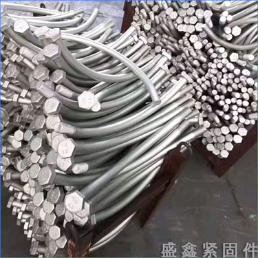 �ȶ�п������˿