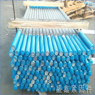 �ȶ�п˫ͷ��˨